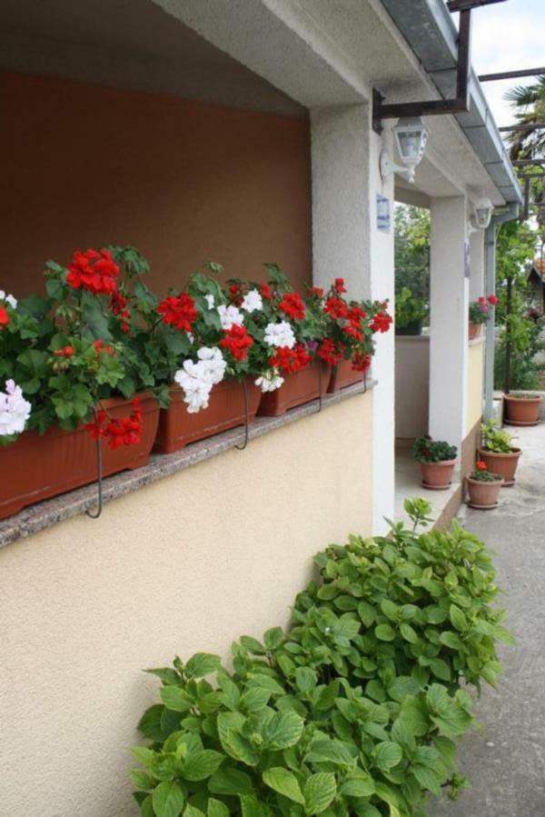 Apartments Mise Trogir Zewnętrze zdjęcie
